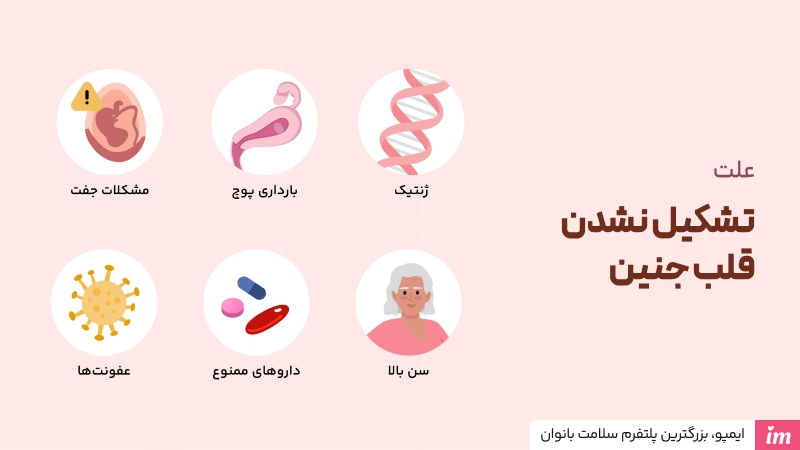 علت تشکیل ‌نشدن قلب جنین