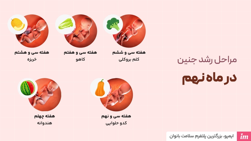 عکس مراحل رشد جنین در ماه نهم