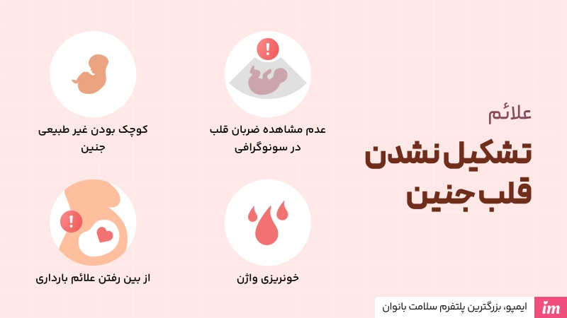 تشکیل نشدن قلب جنین چه علائمی دارد 
