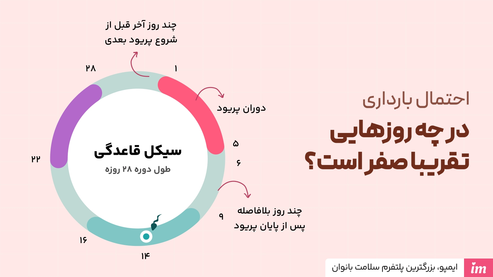 در چه زمانی احتمال بارداری صفر است؟