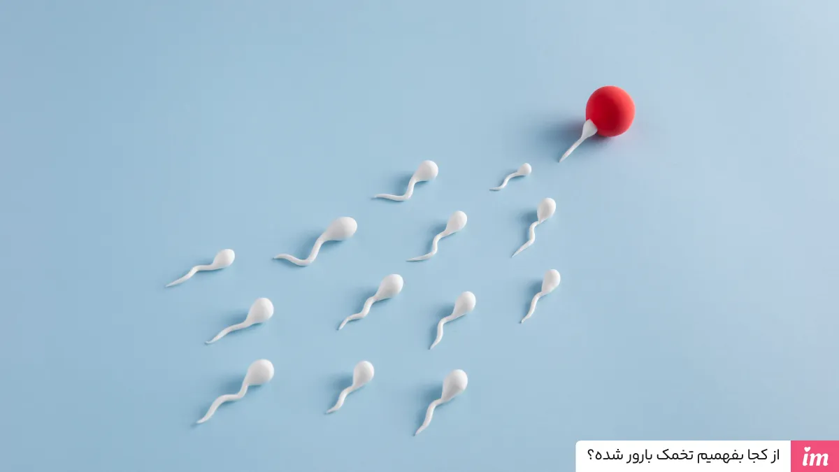 از کجا بفهمیم تخمک بارور شده است؟