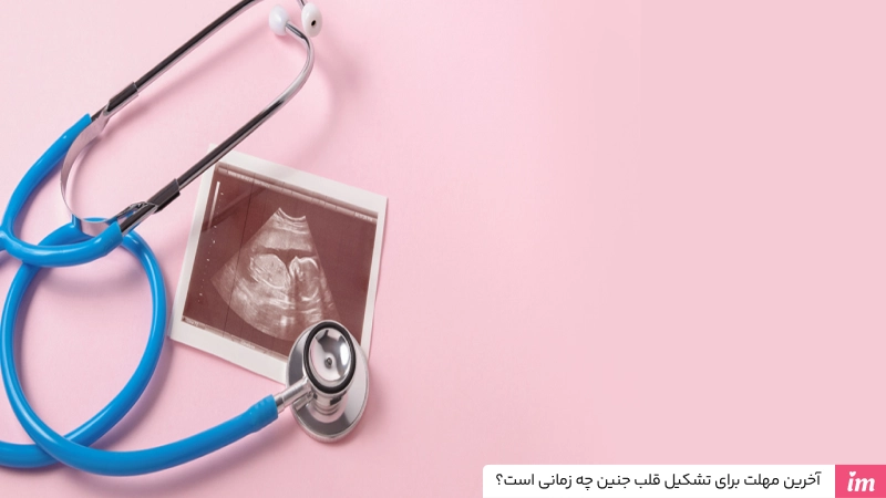 آخرین مهلت برای تشکیل قلب جنین چه زمانی است؟