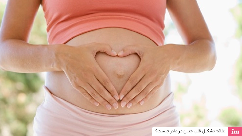 علائم تشکیل قلب جنین در مادر چیست؟